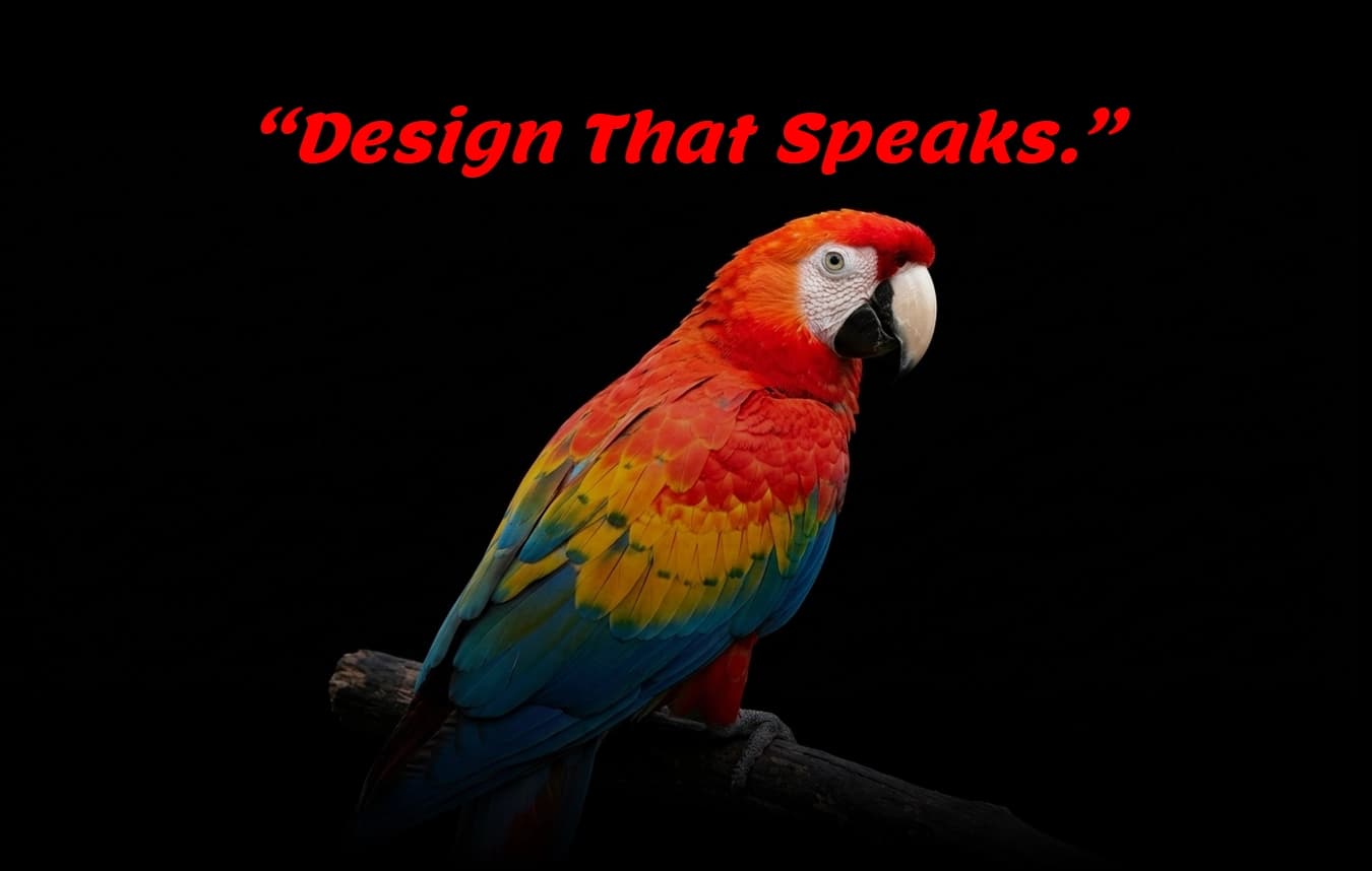 BRANDING & DESIGN